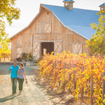 Explore Hollywood, perfect beach towns and Amador County