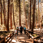 Tours and Guides in Mammoth Lakes and Yosemite Mariposa County