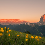 Feel the heartbeat of Val Gardena