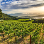 Discover wine and small towns from North to South