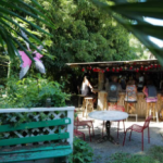 Stilfulde hoteller og unikke aktiviteter på St. Croix